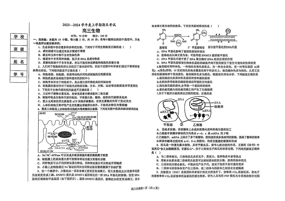 2024届辽宁省鞍山市高三上学期期末联考(1月考)-生物试题（含答案）第1页