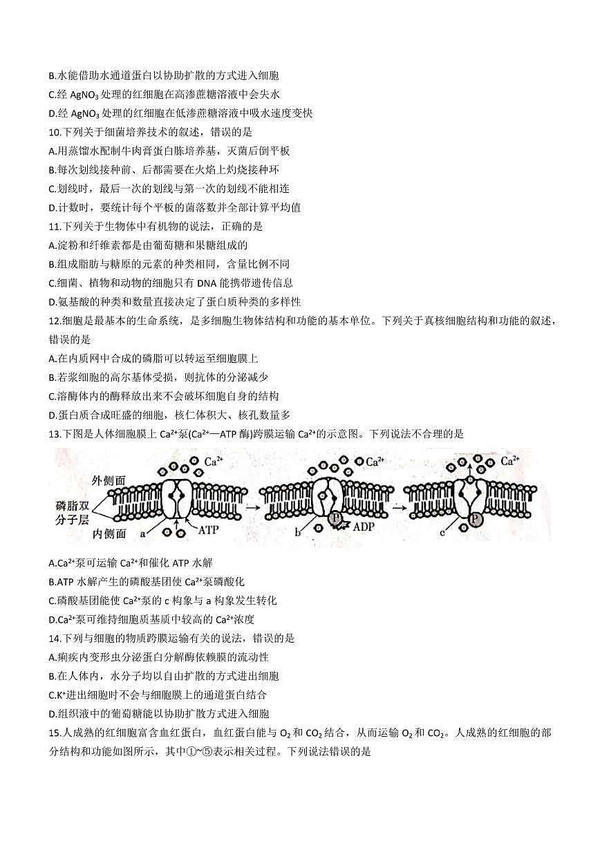 2024届辽宁省高二下学期（期末考）-生物试题（含答案）第3页