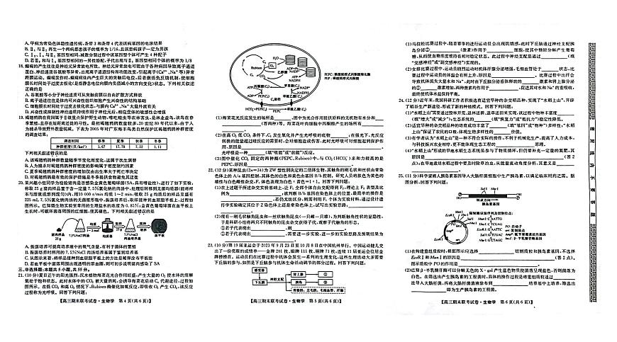 2024届辽宁省高三上学期期末考试（1月）-生物试题（含答案）第2页