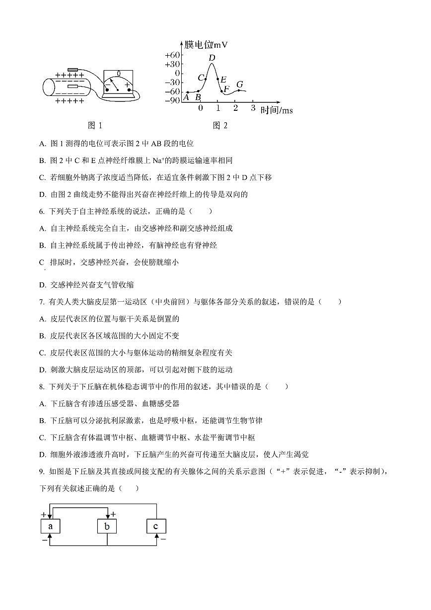 2024届辽宁省辽东南协作校高三上学期月考（12月）-生物试题（含答案）第2页