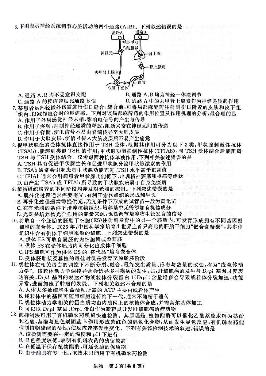 2024届辽宁省名校联盟高三下学期3月份联合考试-生物试卷（含答案）第2页