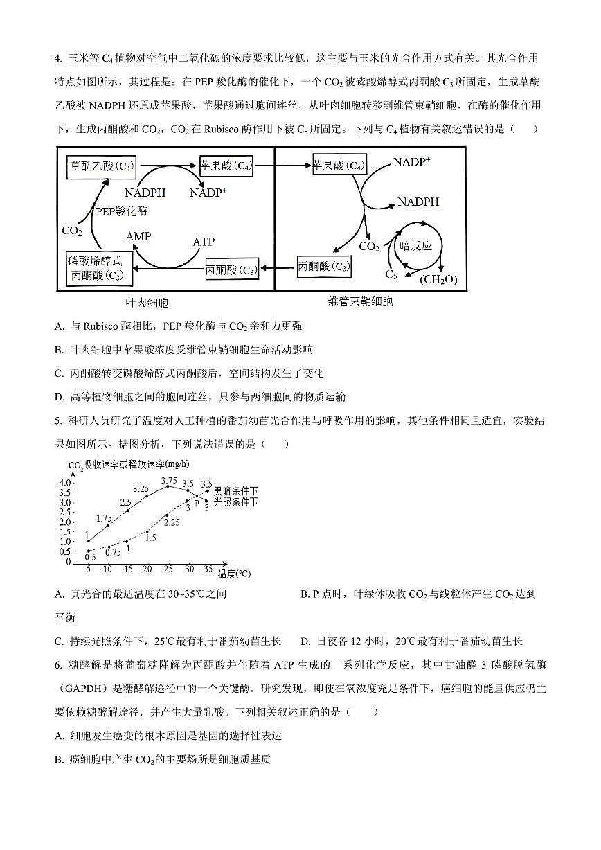 2024届辽宁省沈阳市东北育才学校高三上学期第三次模拟考试(12月)-生物试题（含答案）第2页