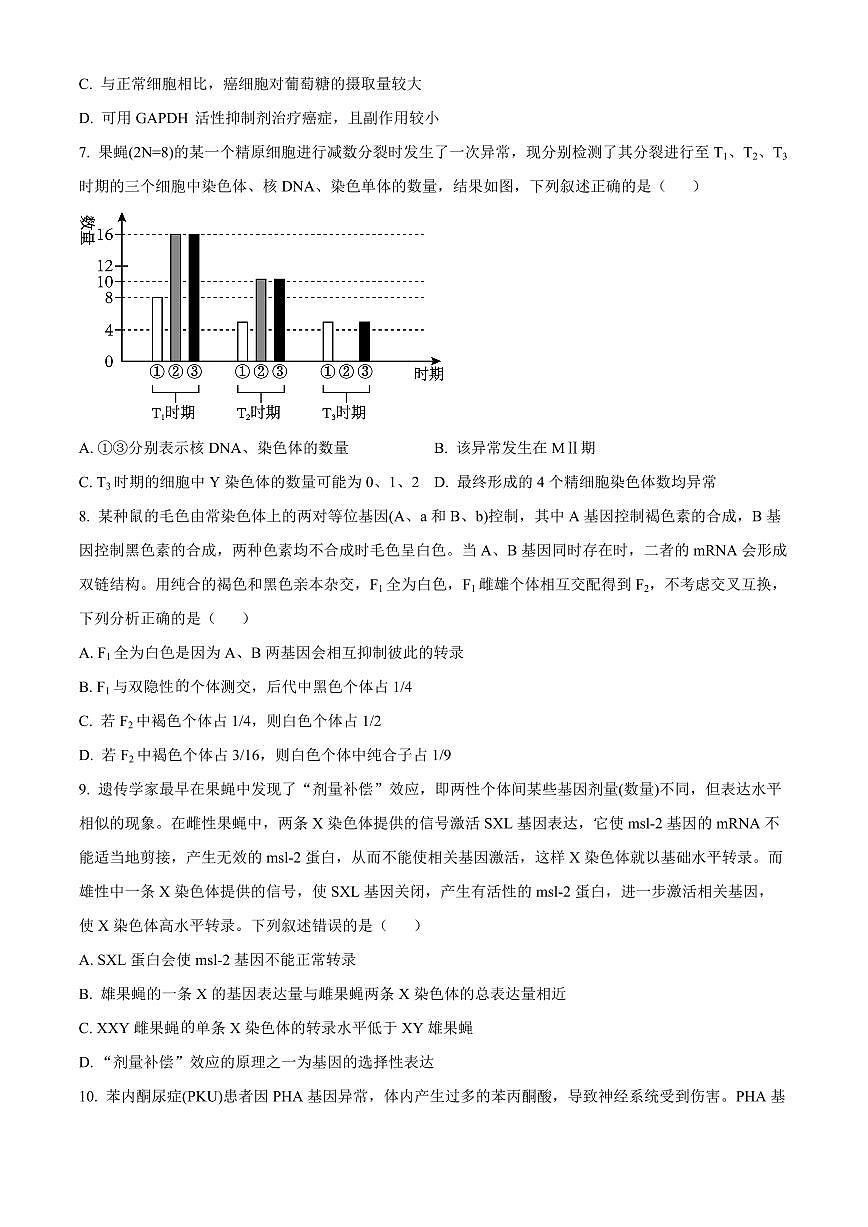 2024届辽宁省沈阳市东北育才学校高三上学期第三次模拟考试(12月)-生物试题（含答案）第3页