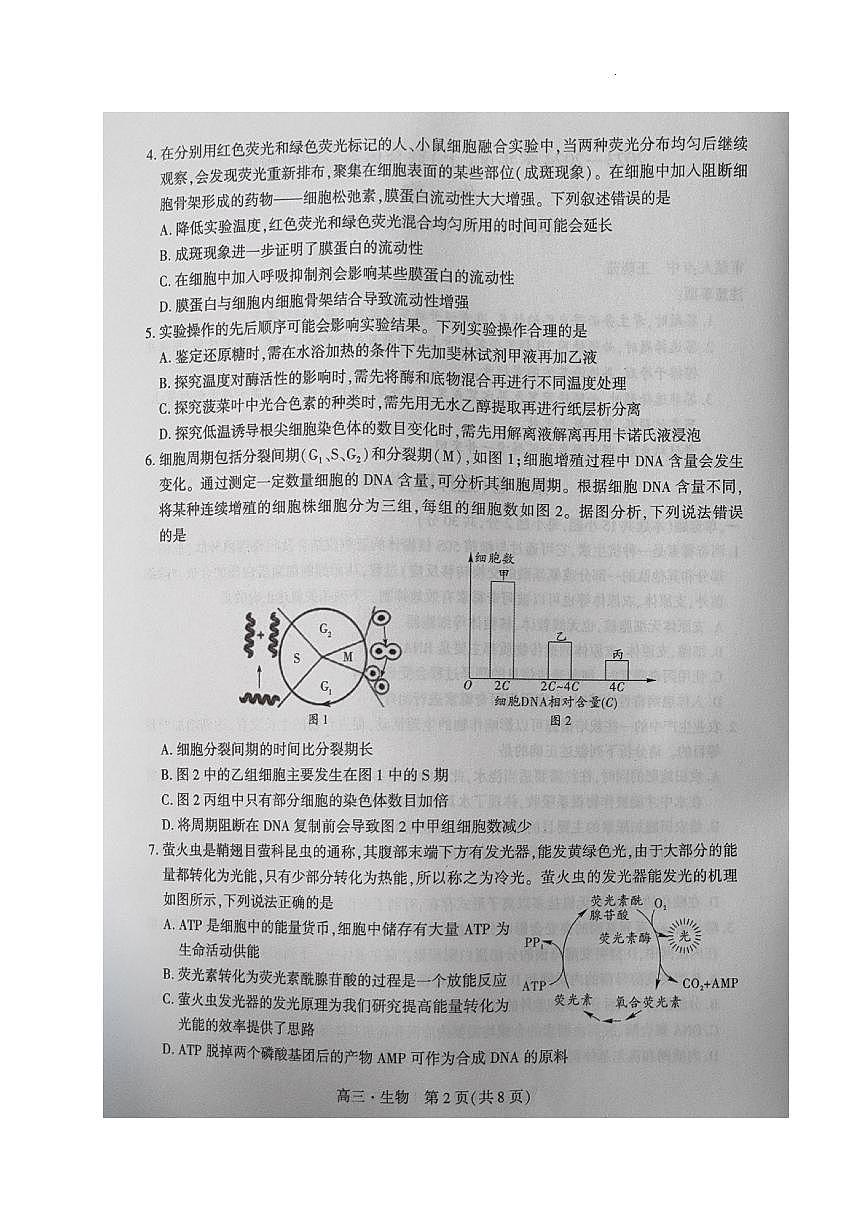 2024届辽宁省沈阳市重点高中联合体高三上学期期中检测（11月）-生物试题（含答案）第2页