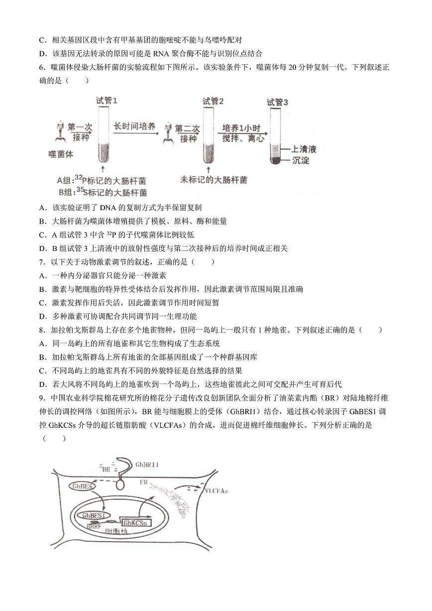 2024届辽宁省实验中学高三五模-生物试卷（含答案）第2页