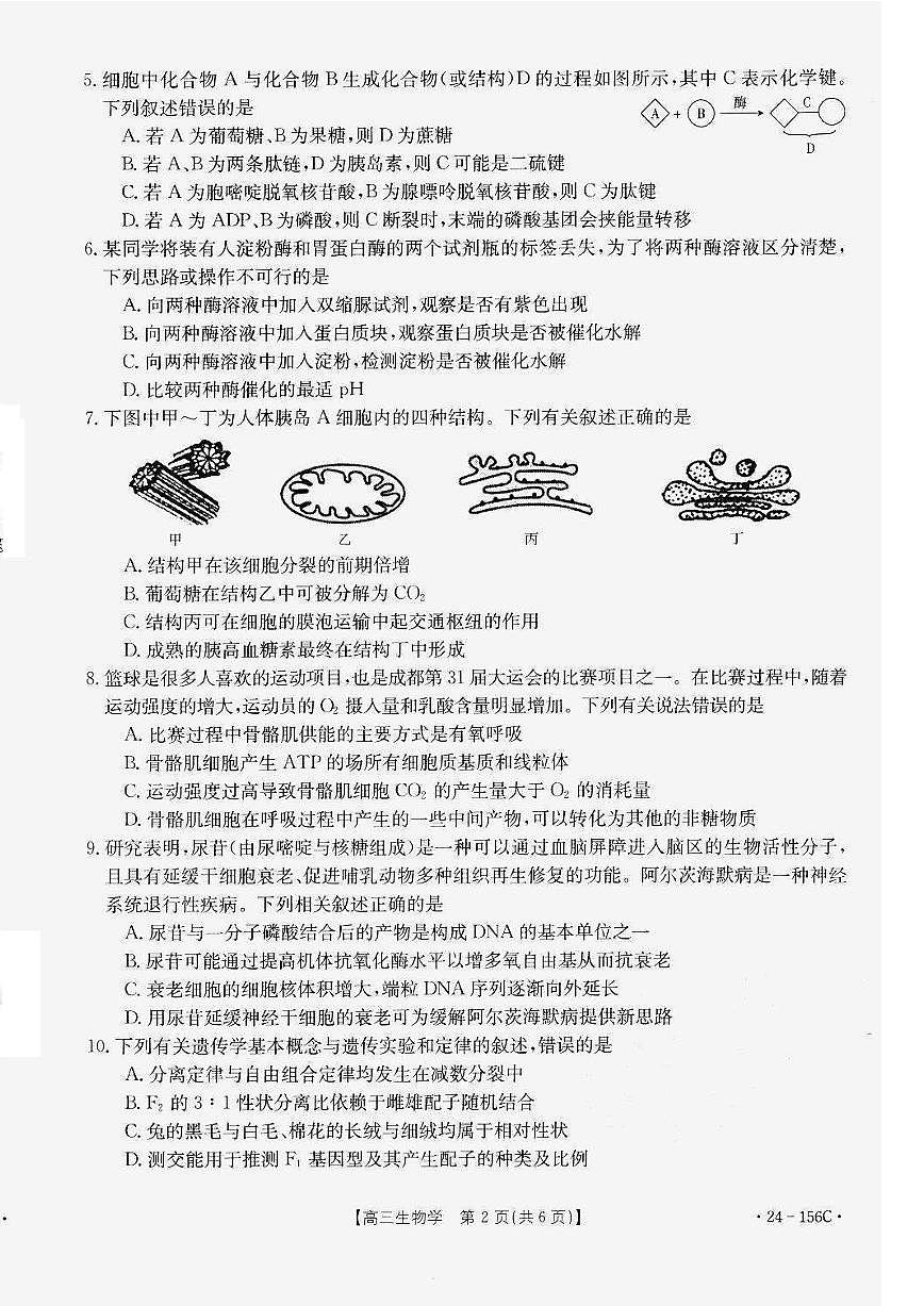 2024届辽宁省铁岭市高中协作校高三上学期期中考试（11月）-生物试题（含答案）第2页