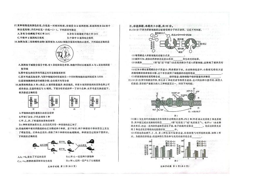 2024届辽宁省县级重点高中协作体高三上学期期中考试(11月)-生物试题（含答案）第3页