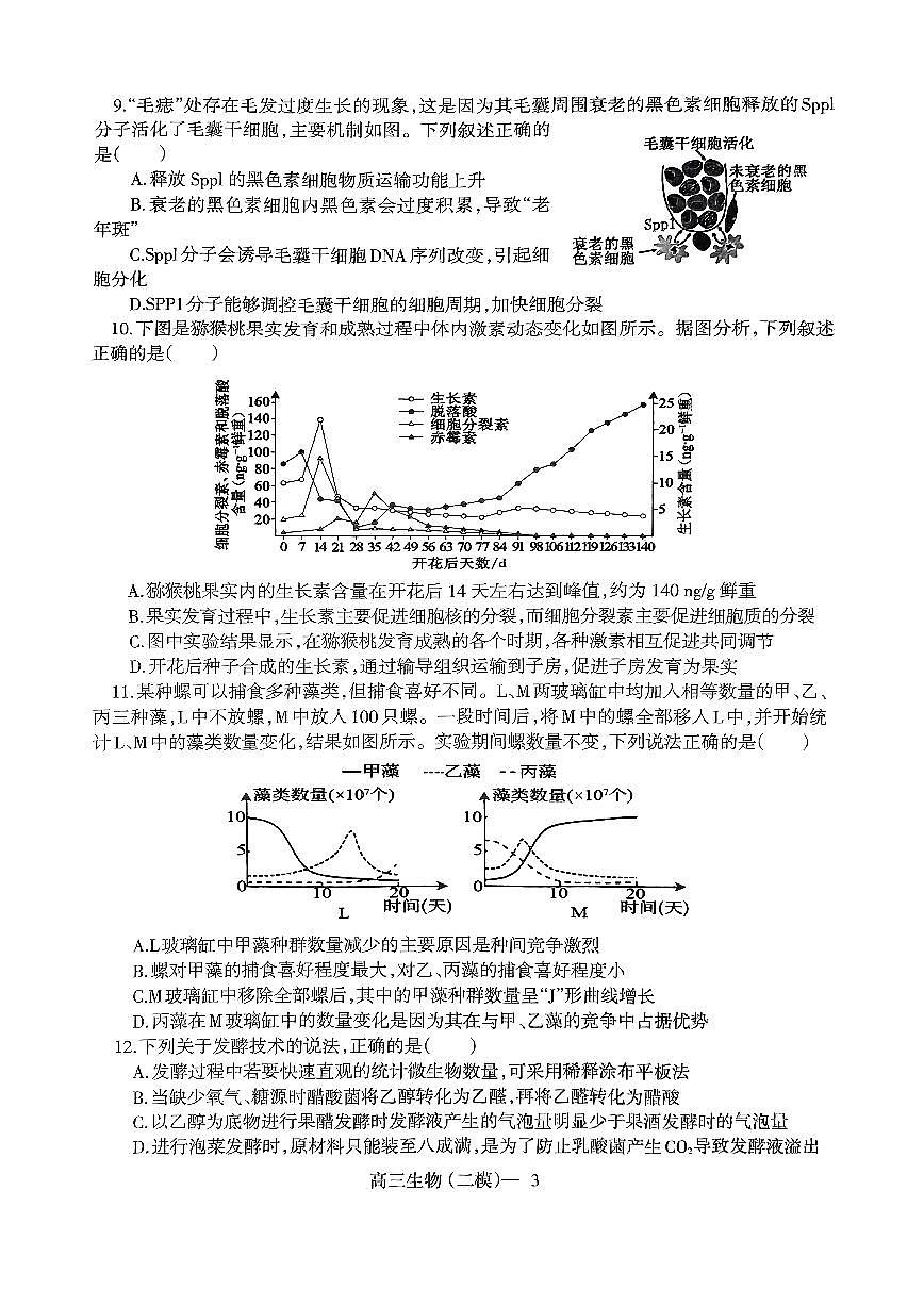 2024届辽宁省协作校高三第二次模拟考-生物试卷（含答案）第3页