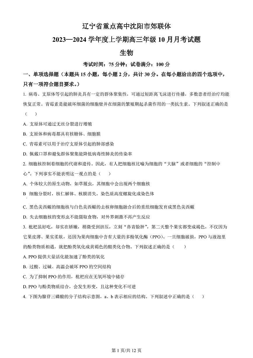 2024届辽宁省重点高中沈阳市郊联体高三上学期10月月考-生物试题（含答案）第1页