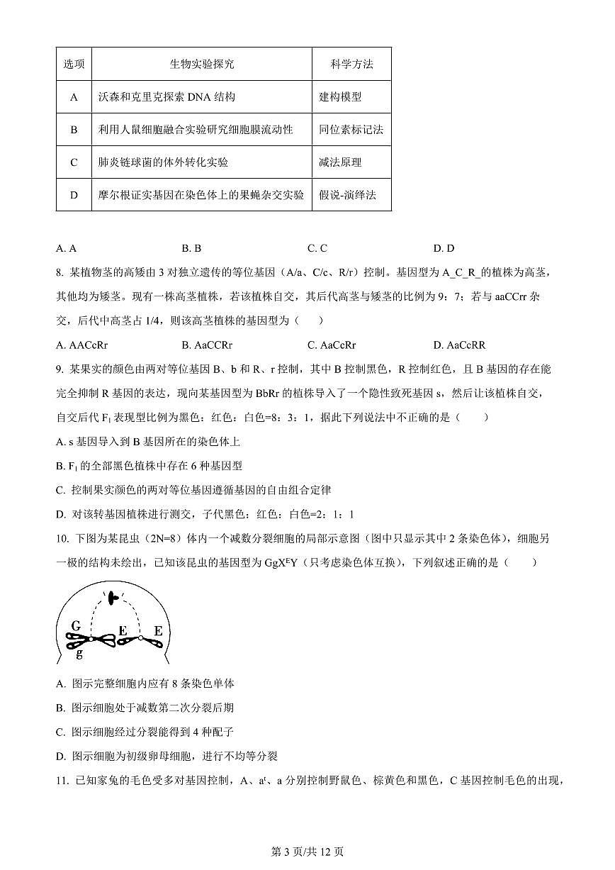 2024届辽宁省重点高中沈阳市郊联体高三上学期10月月考-生物试题（含答案）第3页