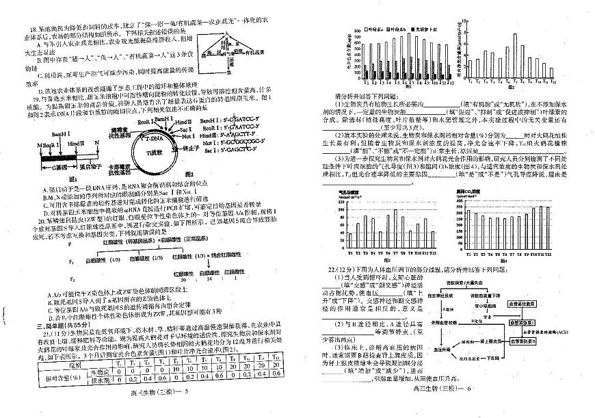 2024届辽宁协作校高三下学期三模-生物试卷（含答案）第3页
