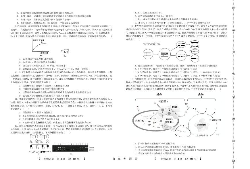 2024届山东高三上学期10月大联考-生物试题（含答案）第2页