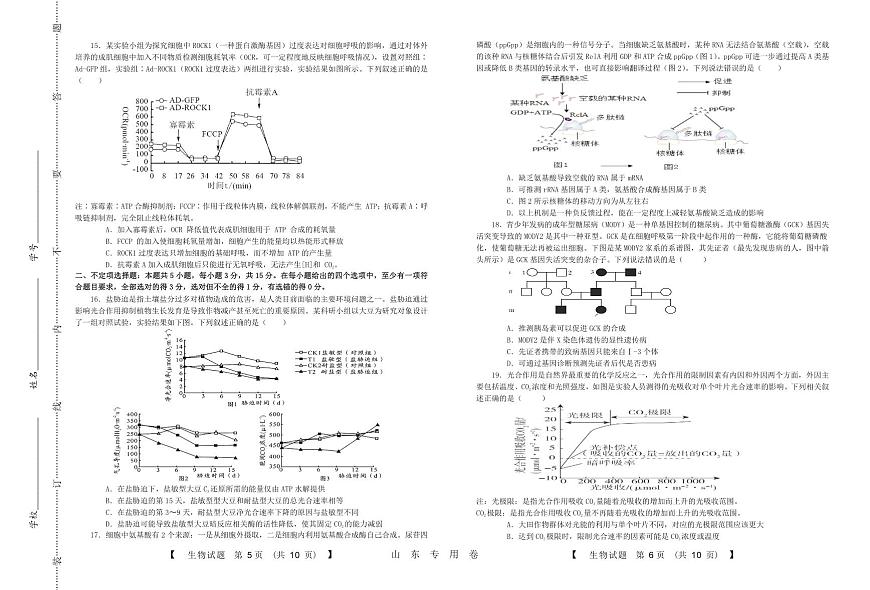 2024届山东高三上学期10月大联考-生物试题（含答案）第3页