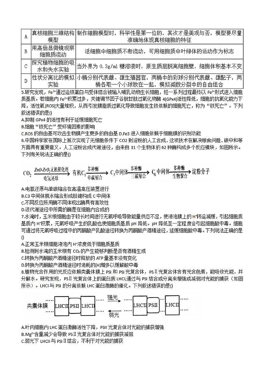 2024届山东省德州市一中高三上学期10月月考-生物试题（含答案）第2页