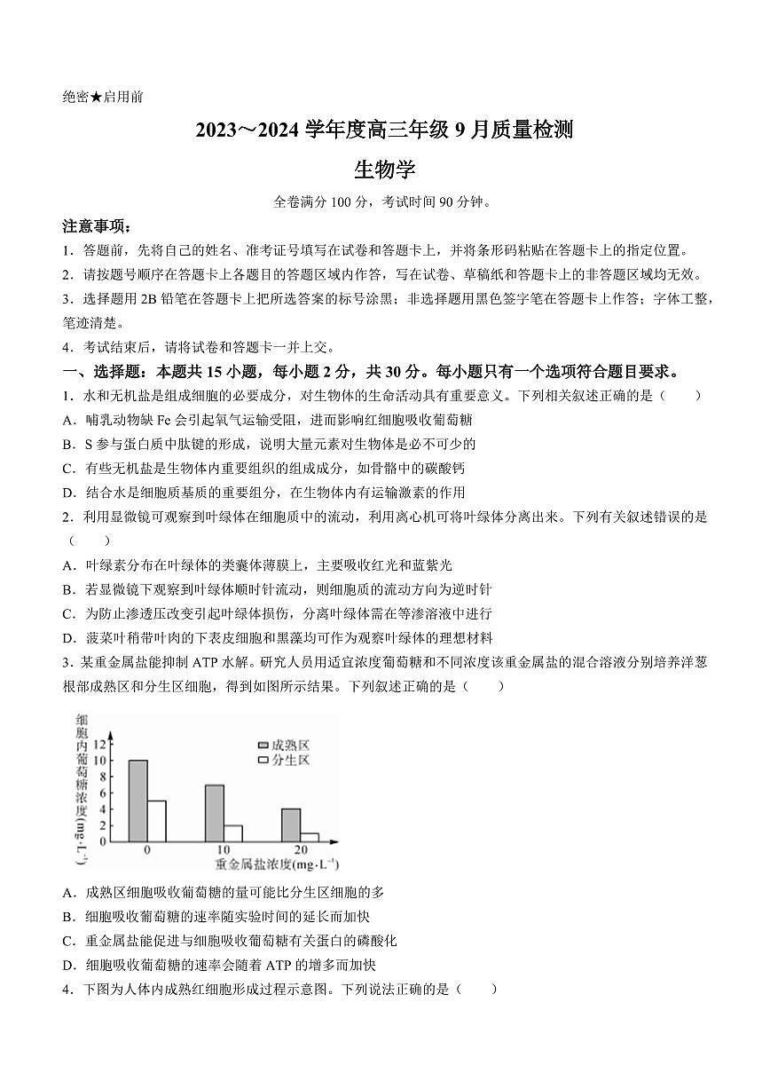 2024届山东省大联考高三上学期9月质量检测-生物试题（含答案）第1页