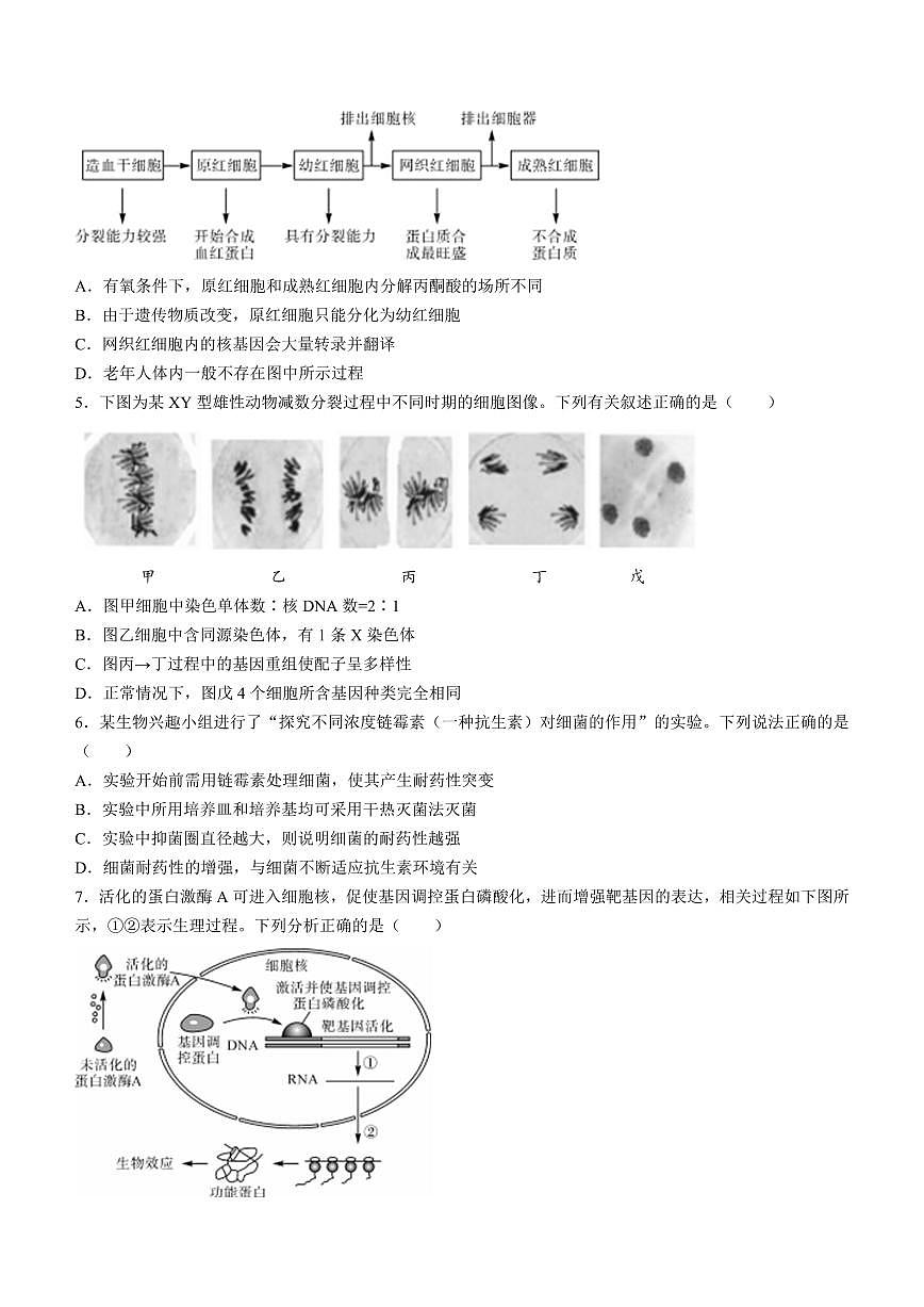 2024届山东省大联考高三上学期9月质量检测-生物试题（含答案）第2页