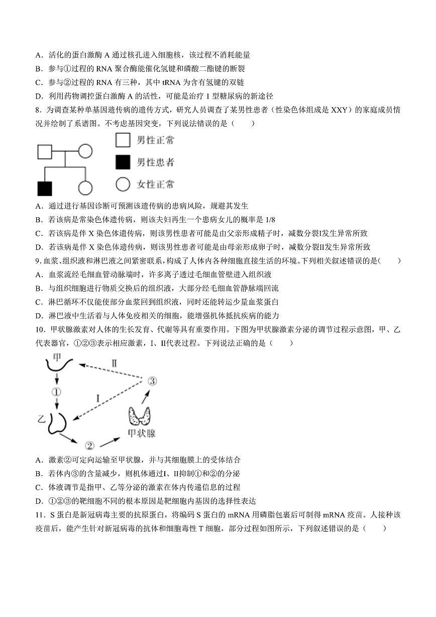 2024届山东省大联考高三上学期9月质量检测-生物试题（含答案）第3页