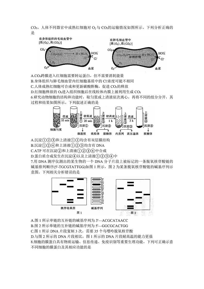 2024届山东省部分学校高三上学期十月联考-生物试题（含答案）第2页