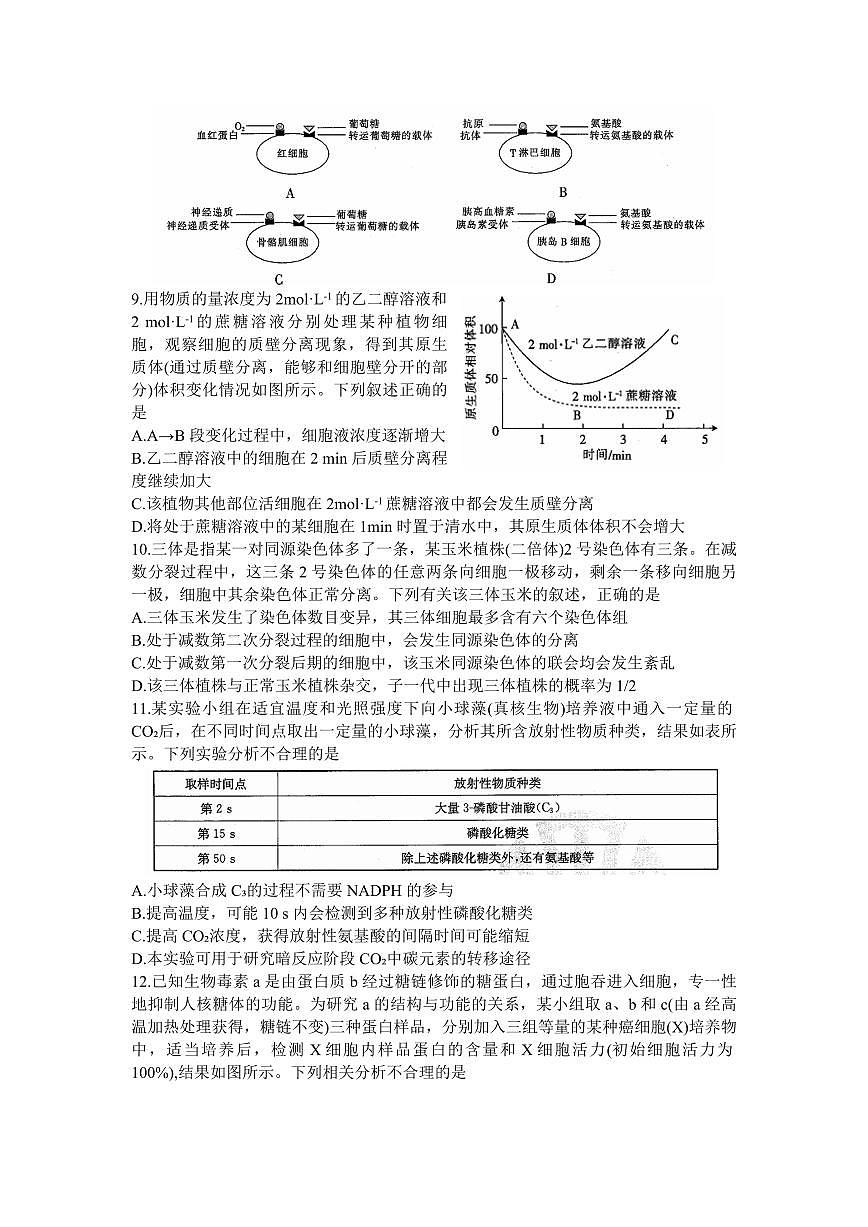 2024届山东省部分学校高三上学期十月联考-生物试题（含答案）第3页