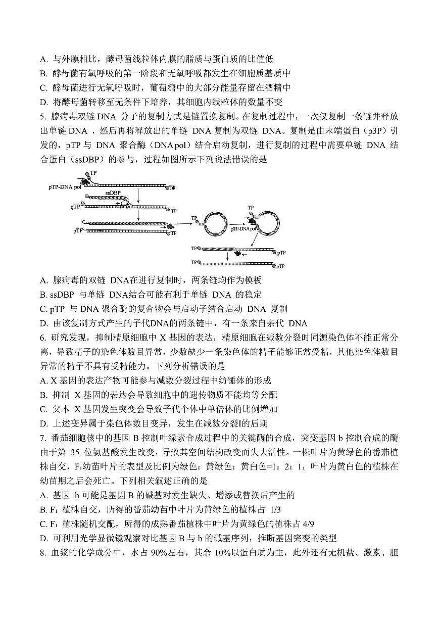 2024届山东齐鲁名校高三下学期第三次学业质量联合检测-生物试卷（含答案）第2页