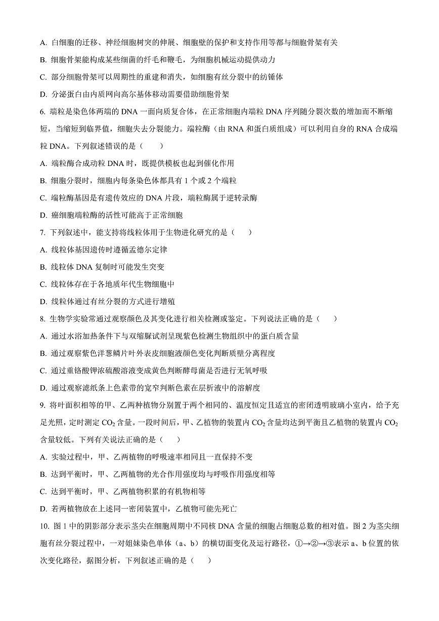 2024届山东省德州市禹城市综合高三10月月考-生物试题（含答案）第2页