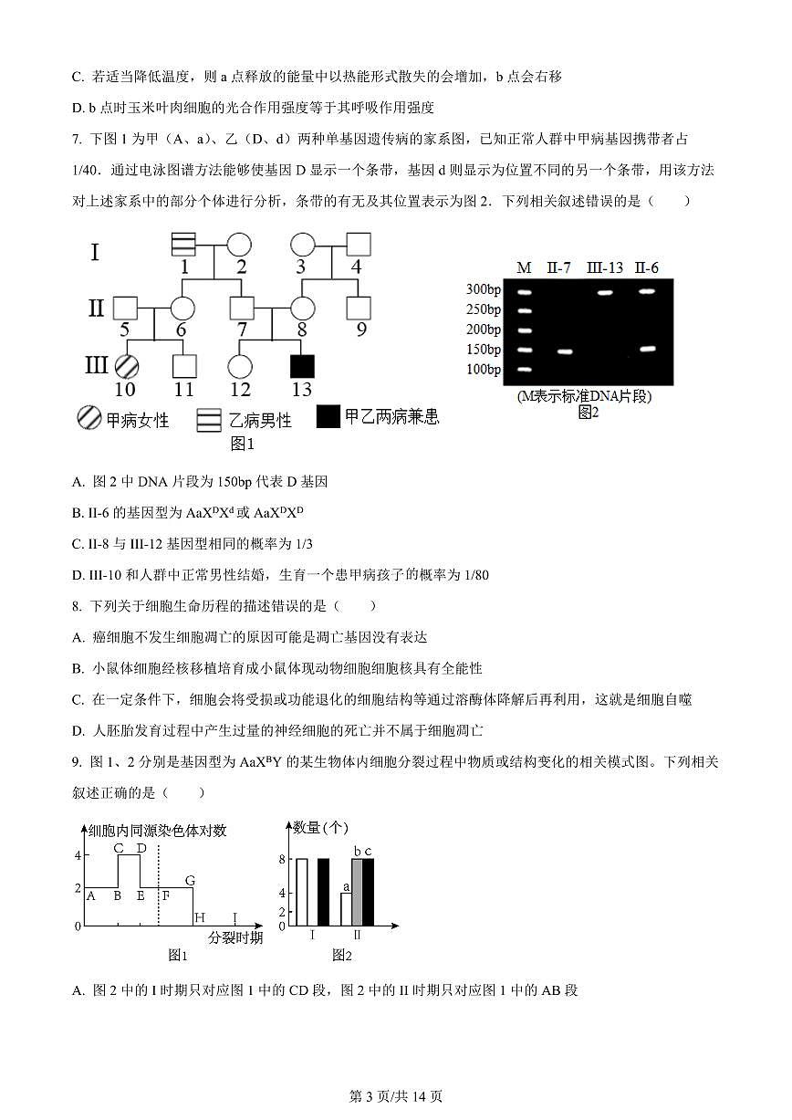 2024届山东省高三上学期12月统一调研考试-生物试题（含答案）第3页
