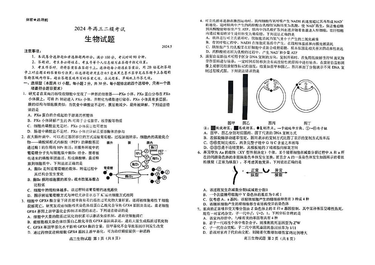 2024届山东省菏泽市高三二模-生物试卷（含答案）第1页