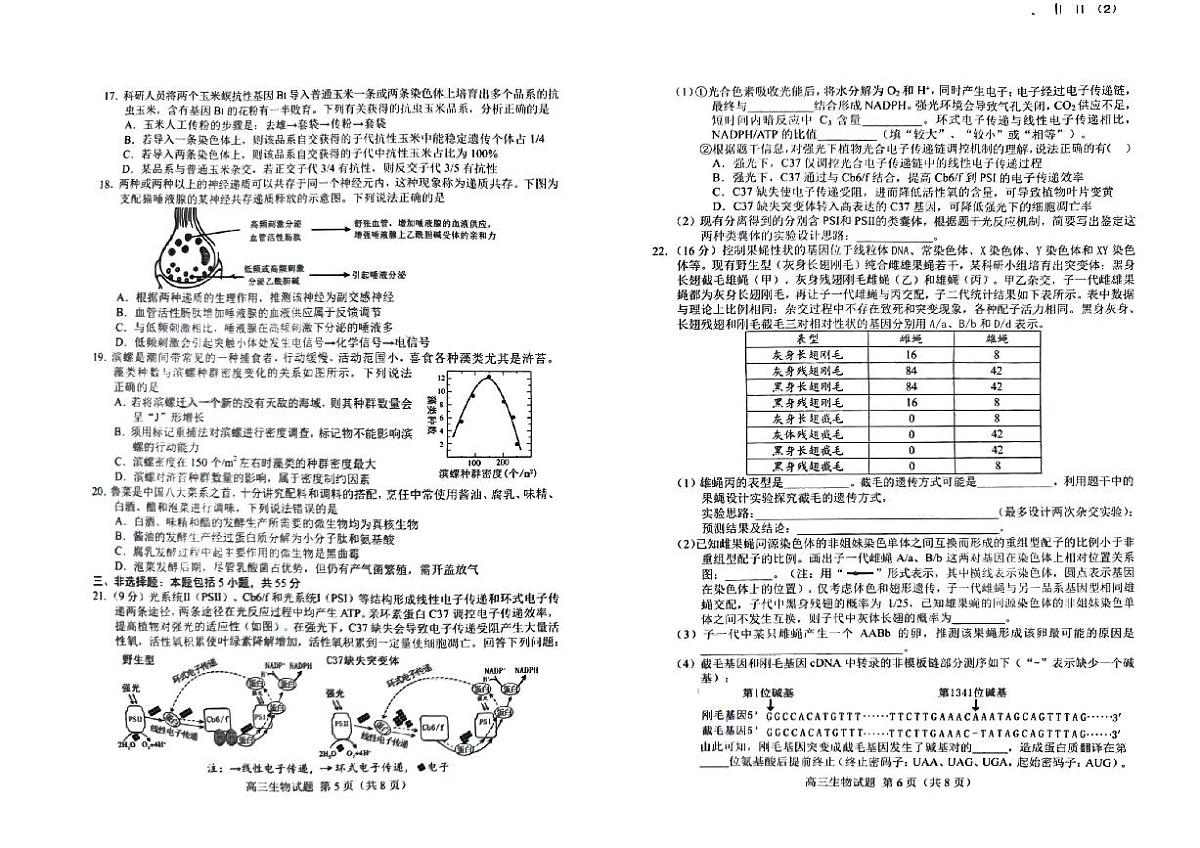 2024届山东省菏泽市高三二模-生物试卷（含答案）第3页