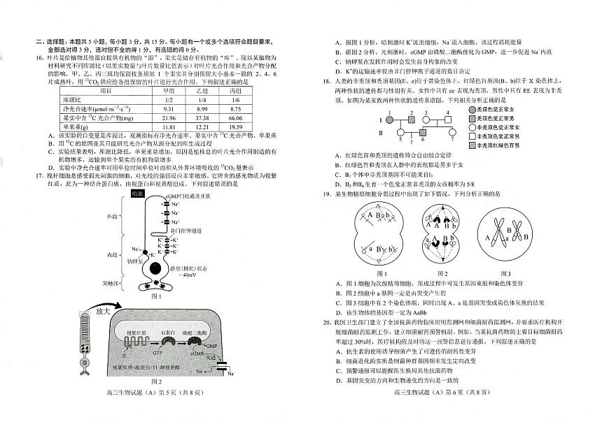 2024届山东省菏泽市高三上学期期中考试(11月)-生物试题（含答案）第3页