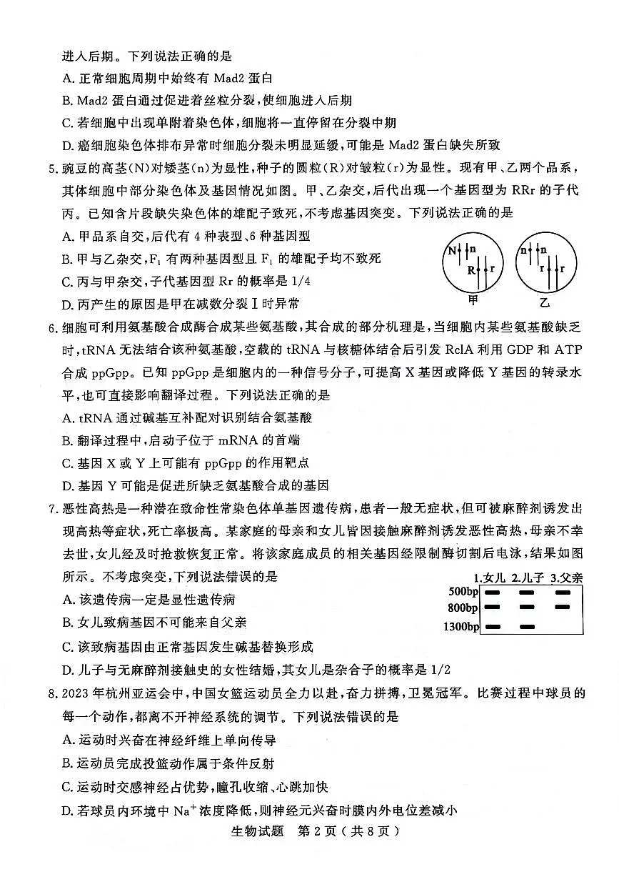 2024届山东省济宁市高三上学期1月期末-生物试题（含答案）第2页
