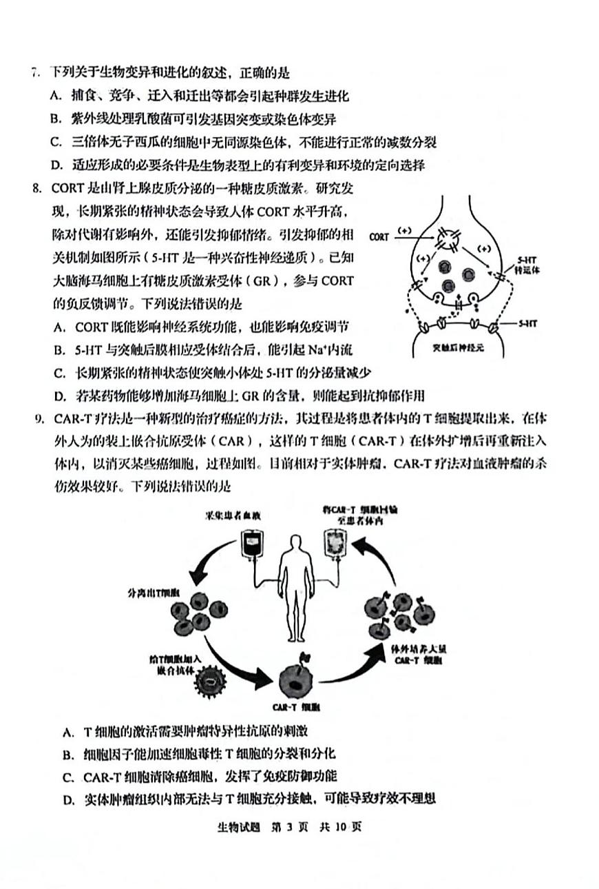 2024届山东省青岛市高三下学期一模-生物试卷（含答案）第3页