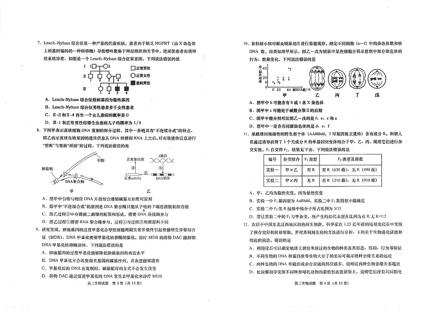 2024届山东省青岛市四区统考高三上学期期中-生物试题（含答案）第2页