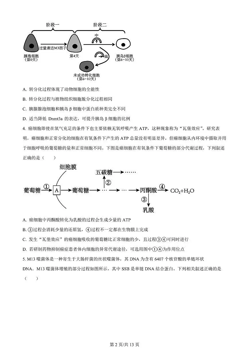 2024届山东省实验中学高三下学期一模考试-生物试卷（含答案）第2页
