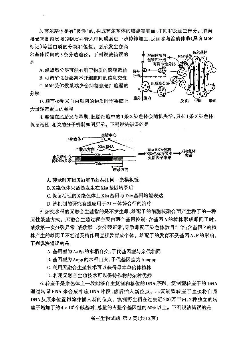 2024届山东省泰安高三二模-生物试卷（含答案）第2页