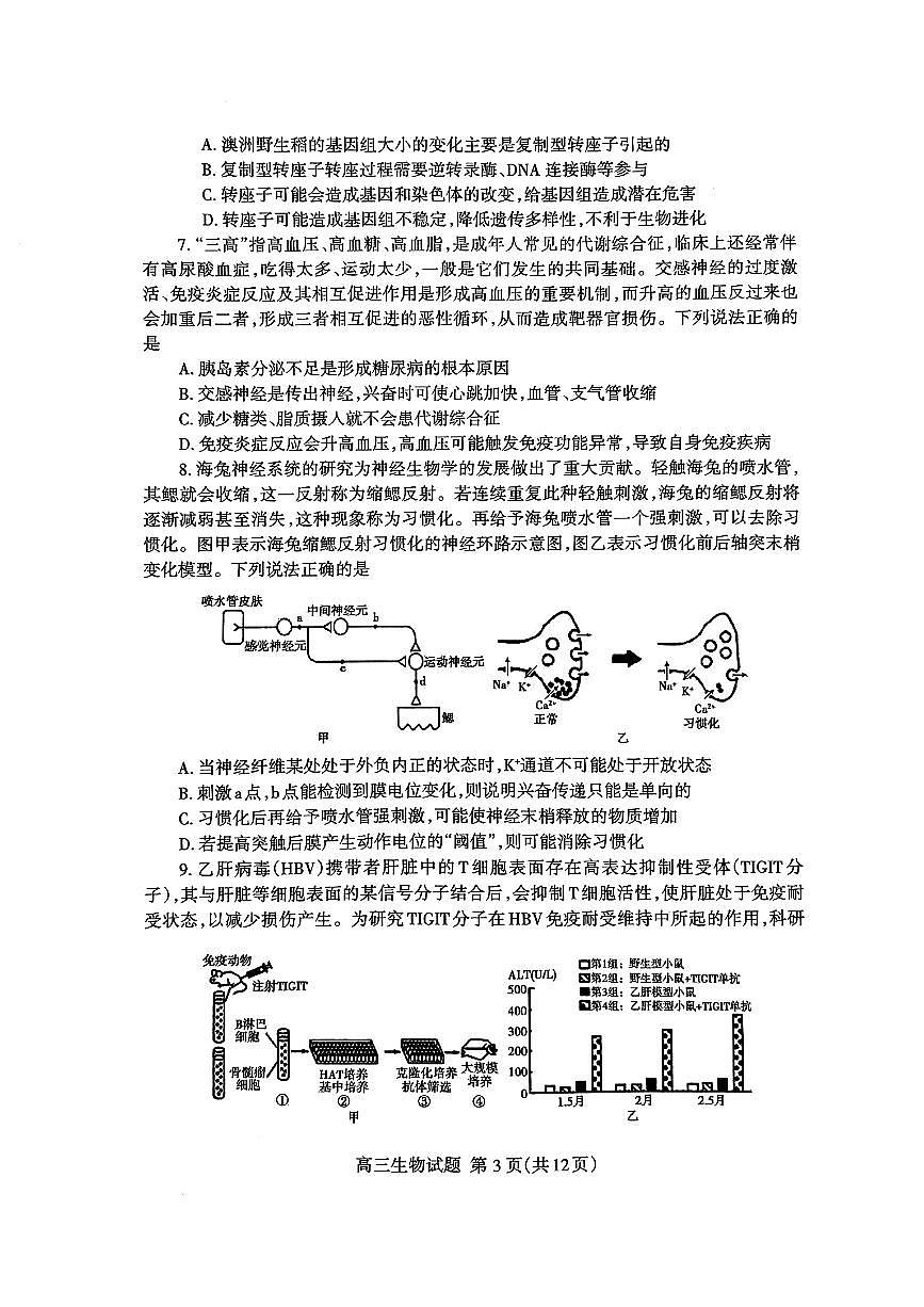 2024届山东省泰安高三二模-生物试卷（含答案）第3页