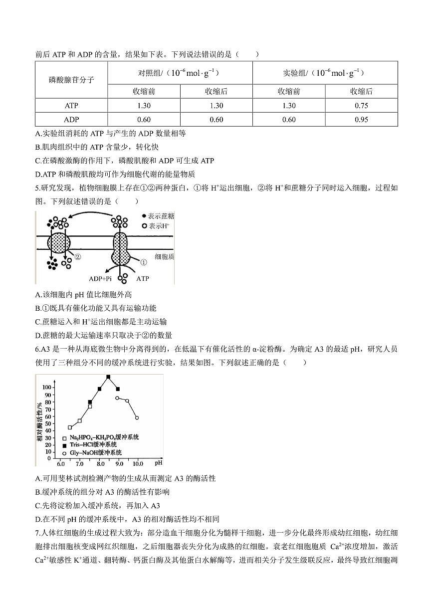 2024届山东省潍坊市高三上学期10月检测-生物试题（含答案）第2页