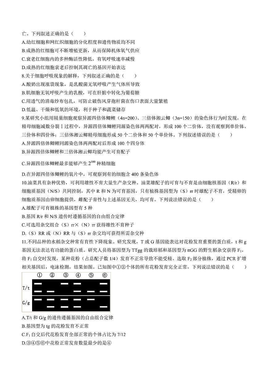 2024届山东省潍坊市高三上学期10月检测-生物试题（含答案）第3页