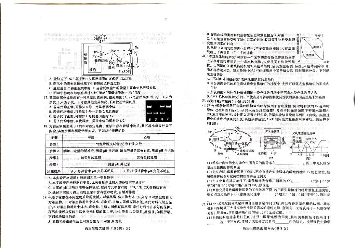 2024届山东省新高考联合质量测评高三下学期3月联考-生物试卷（含答案）第3页