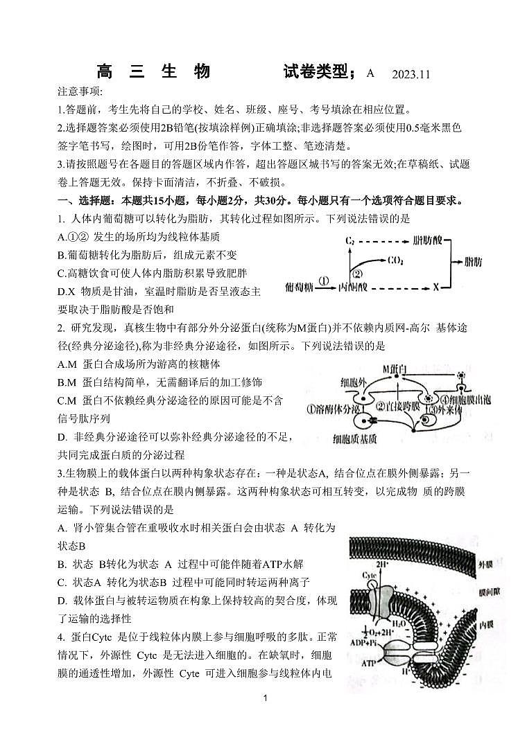 2024届山东省潍坊市高三上学期期中考(11月)-生物试题（含答案）第1页