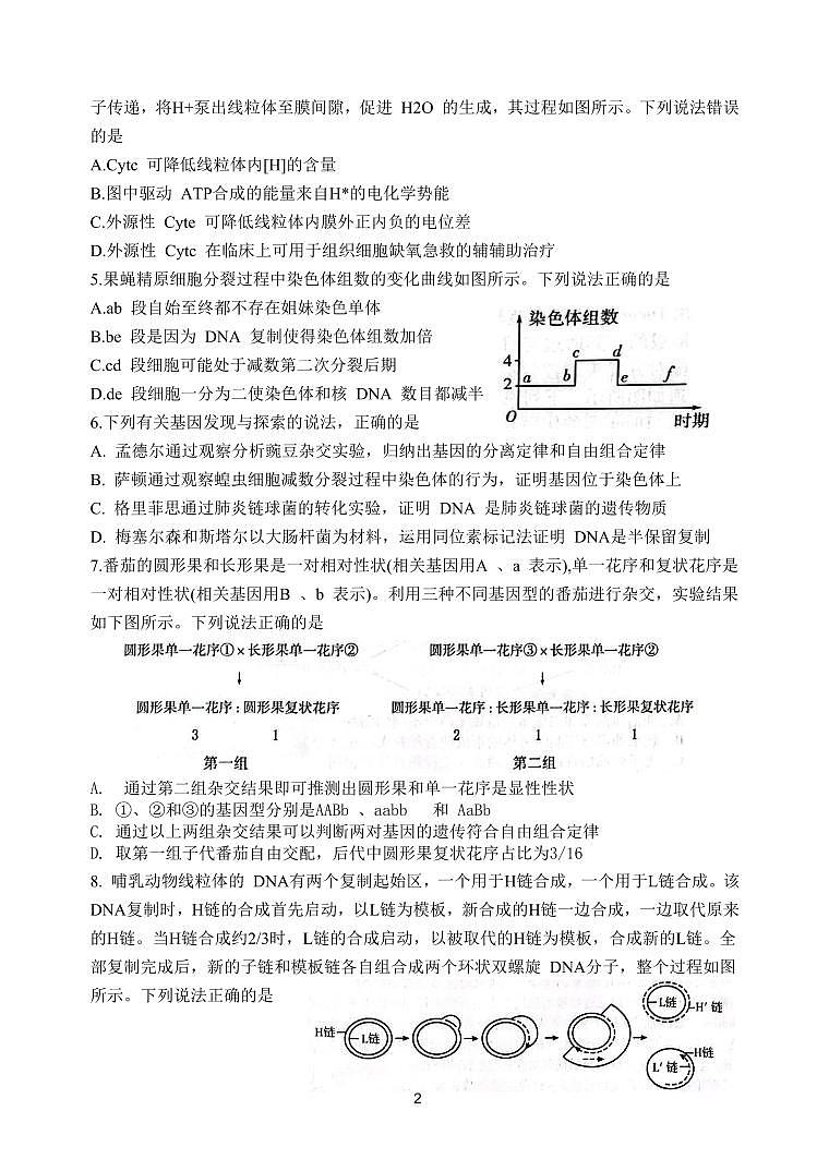 2024届山东省潍坊市高三上学期期中考(11月)-生物试题（含答案）第2页