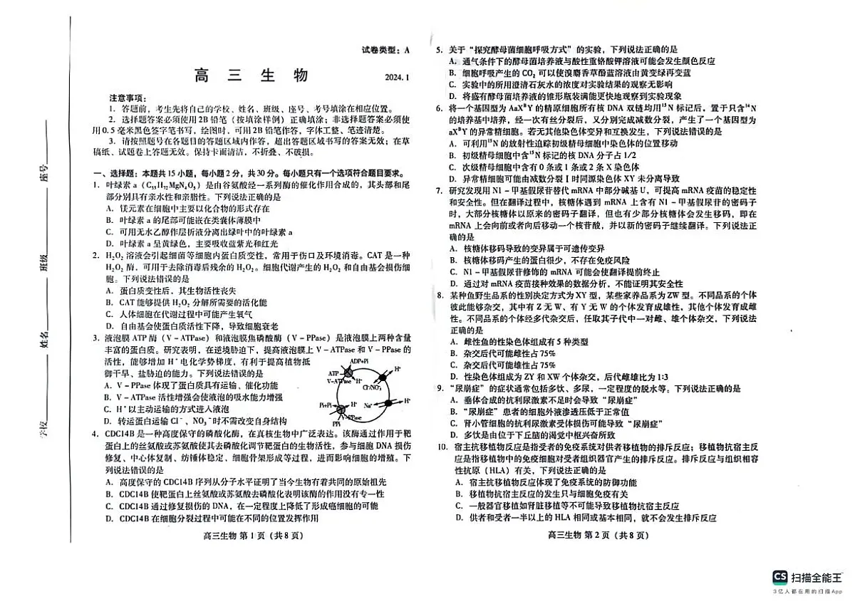 2024届山东省潍坊市高三上学期期末考试(1月)-生物试题（含答案）第1页