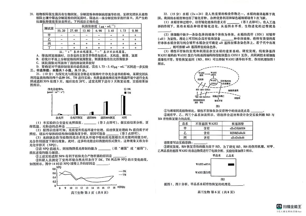 2024届山东省潍坊市高三上学期期末考试(1月)-生物试题（含答案）第3页