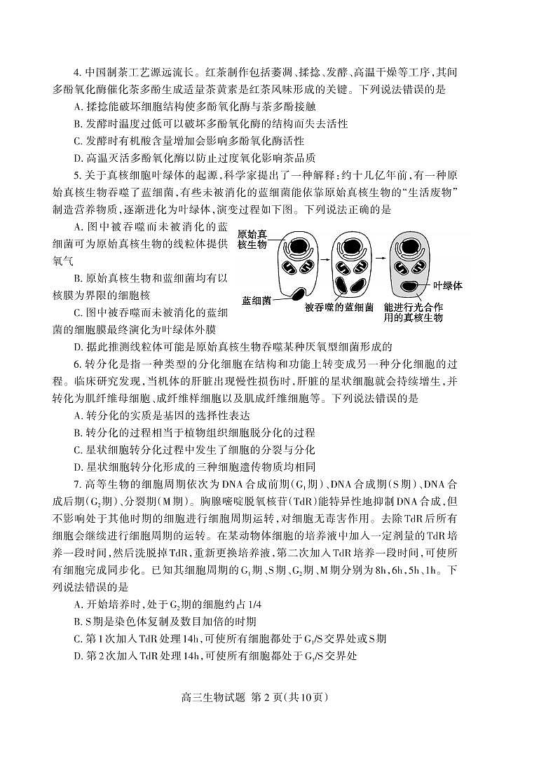 2024届山东省泰安市高三上学期期中考试-生物试题（含答案）第2页