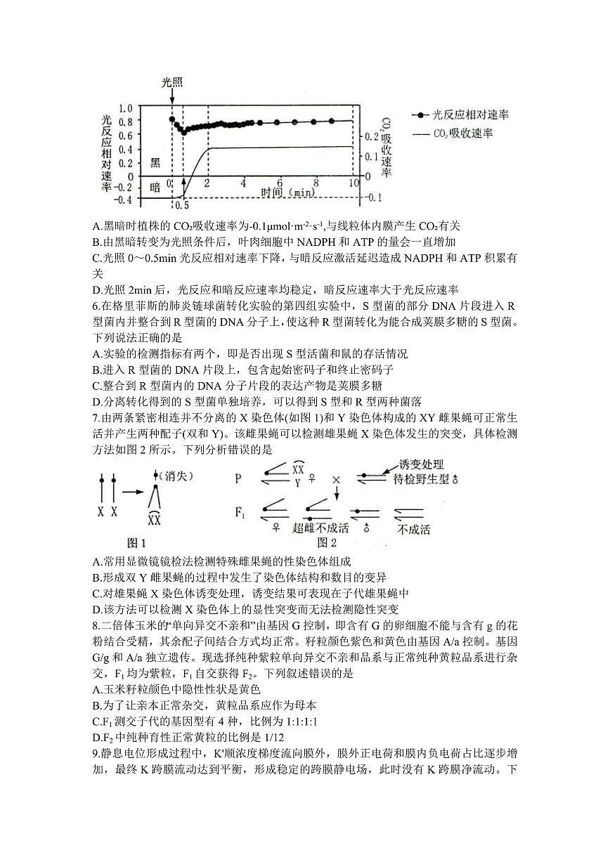 2024届山东省烟台市、菏泽市高三上学期1月期末考试-生物试题（含答案）第2页