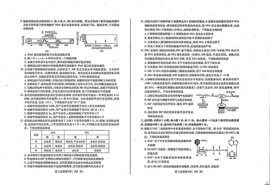 2024届山东省烟台市高三上学期期中考试(11月)-生物试题（含答案）第2页