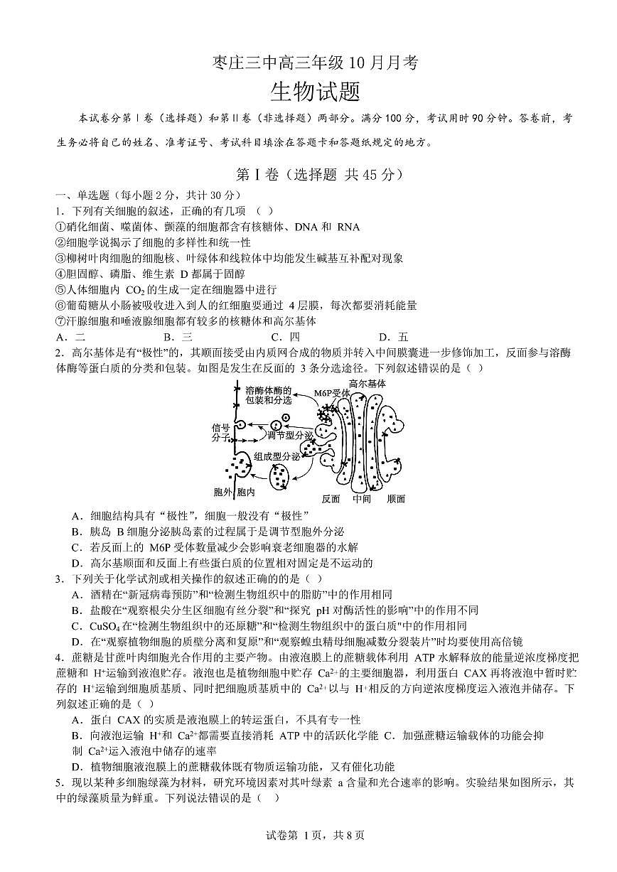 2024届山东省枣庄市第三中学高三上学期10月月考-生物试题（含答案）第1页