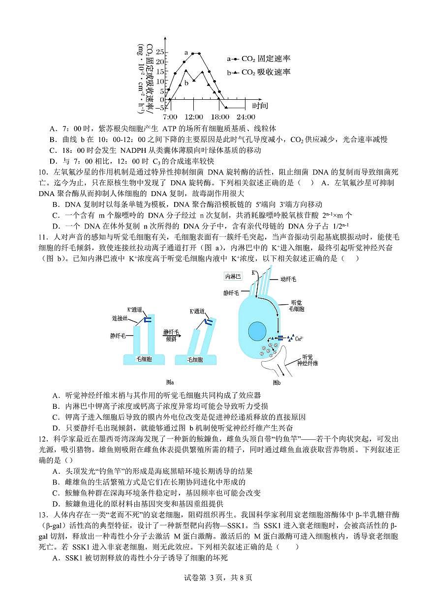 2024届山东省枣庄市第三中学高三上学期10月月考-生物试题（含答案）第3页