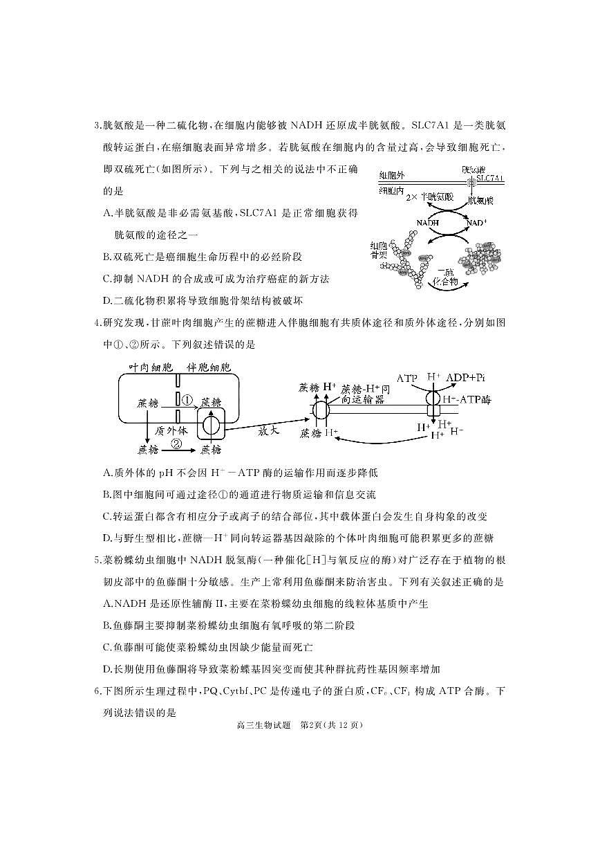 2024届山东省枣庄市滕州市高三上学期期中考试(11月)-生物试题（含答案）第2页