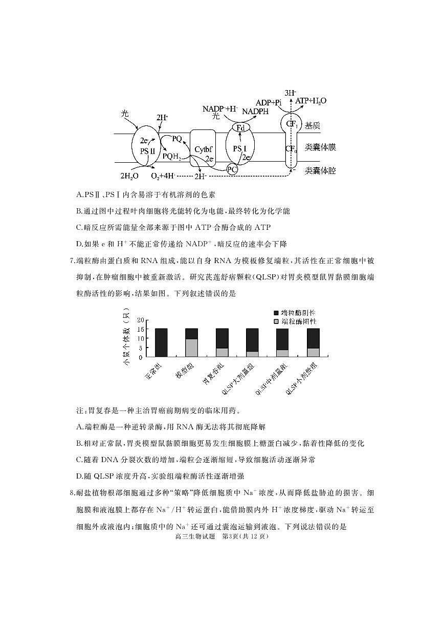 2024届山东省枣庄市滕州市高三上学期期中考试(11月)-生物试题（含答案）第3页