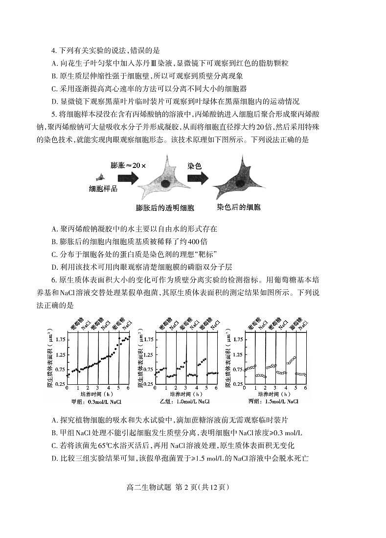 2024届山东泰安高二下学期（期末考）-生物试题（含答案）第2页